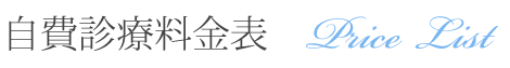 自費診療料金表